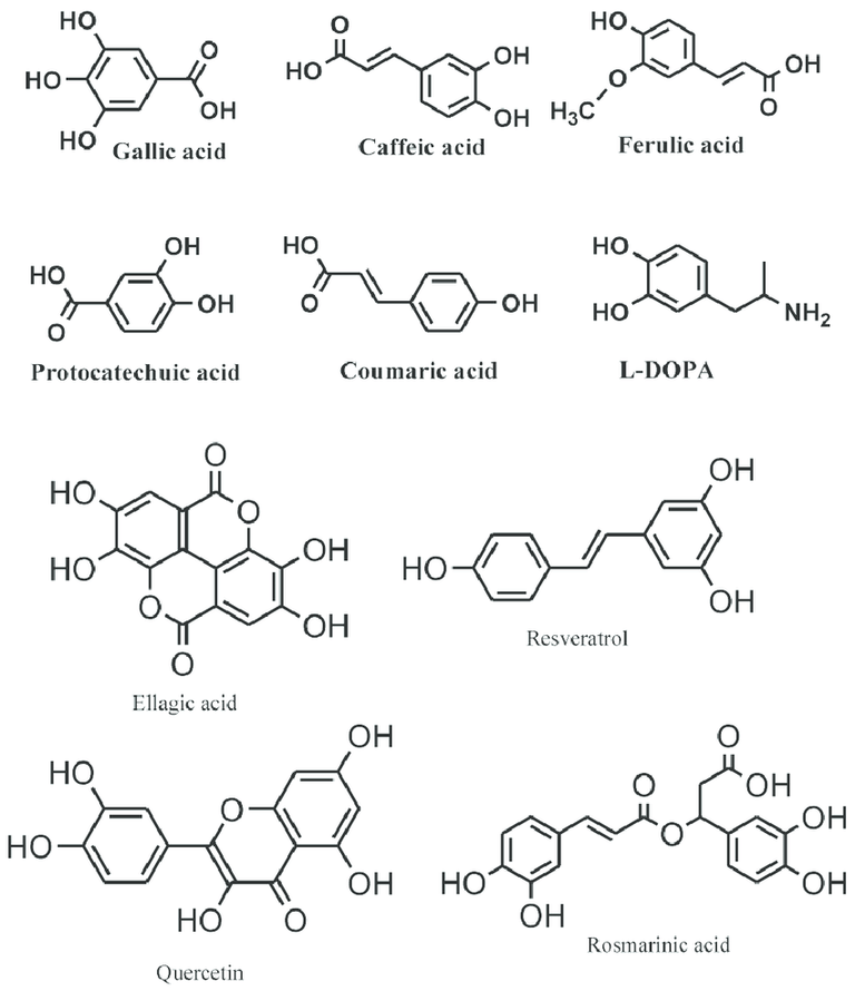 Common-phenolic-compounds-in-plants-comprise-an-aromatic-ring-bear-one-or-more-hydroxyl.png