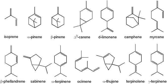 terpenes.jpg