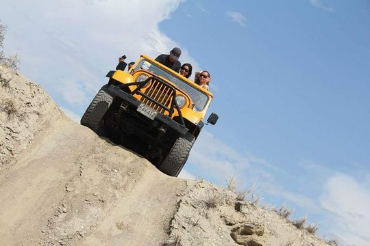 If you are looking for adventure, enjoy nature, you love bird watching and you like beaches, this excursion is for you. Hold on tight to enjoy a four-wheel drive during a full day by jeep, where you can explore the majestic beauty that Margarita Island offers you.