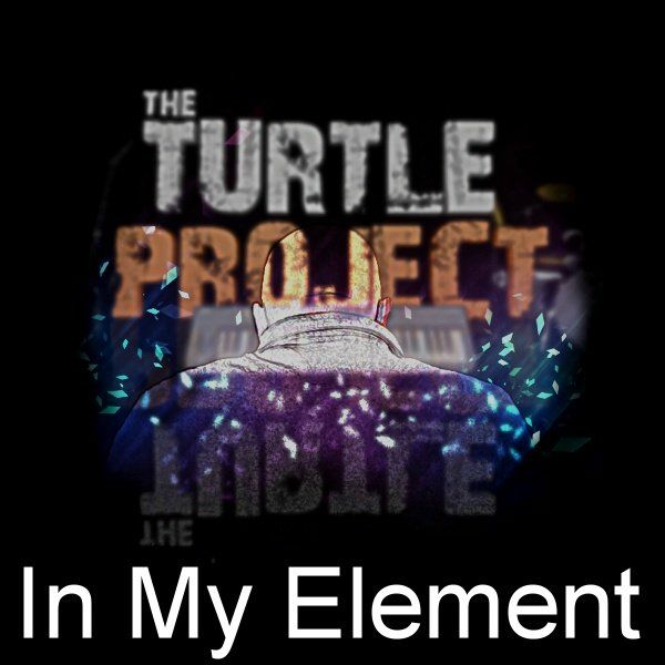 In My Element by The Turtle Project