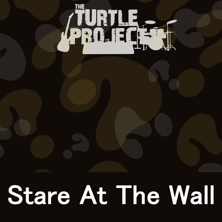 Stare at the Wall by The Turtle Project