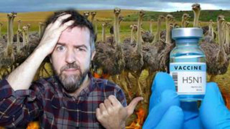 BREAKING: Canadian Government Purchased H5N1 Vaccines FOR HUMANS While CULLING 400 HEALTHY OSTRICHES