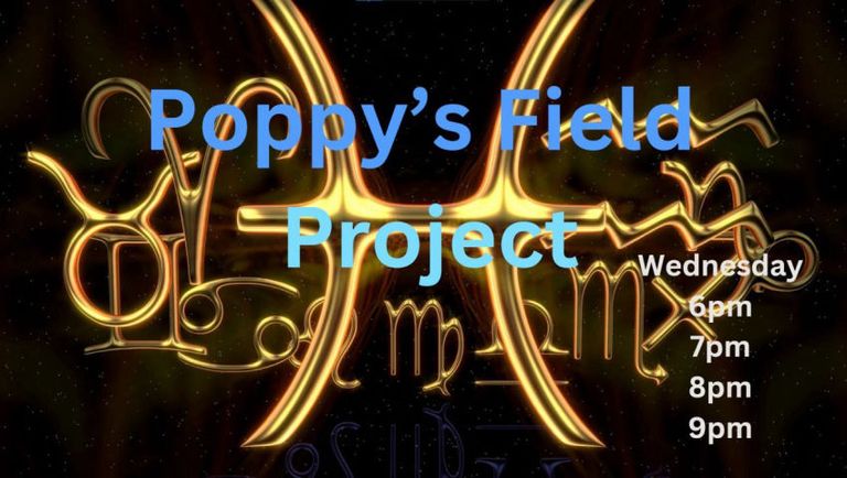 02/19/2025 Poppy's Field Project